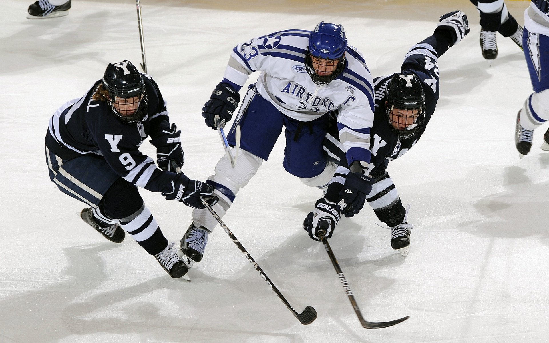 沙尔克遭遇连败，德甲排名不容乐观，沙尔克队